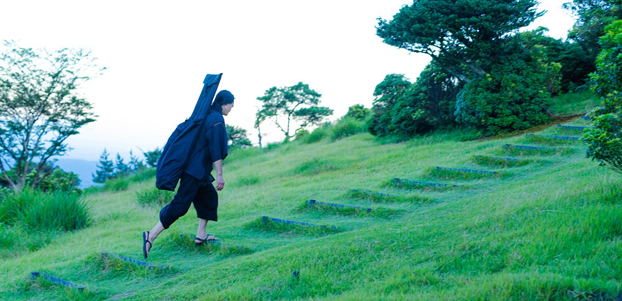 Cathedrals of green. Movement, health, and the call of the forest