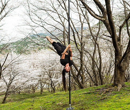 Ninja pole by  Lupit