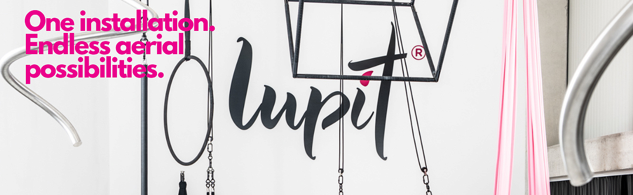 Aerial pulley system