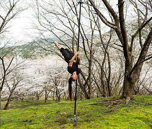 Lupit Ninja Pole