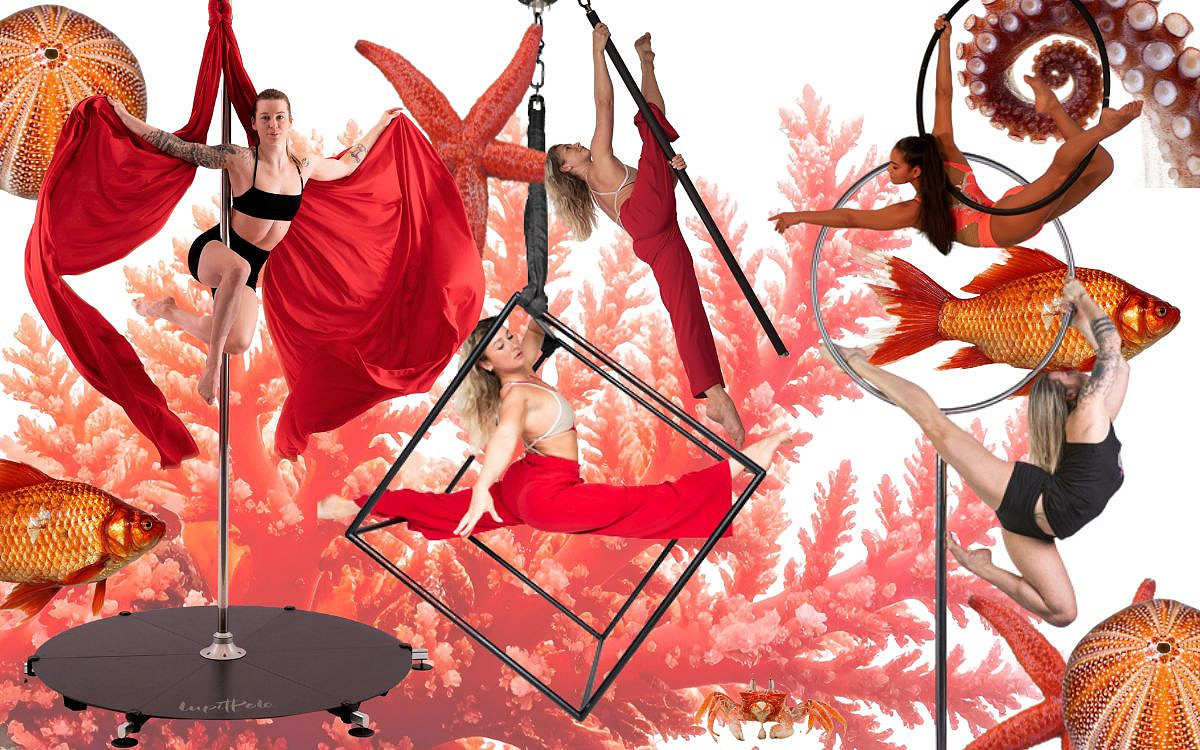 15% OFF Outdoor Gear + FREE Lupit Latte