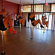 Muse pole fitness