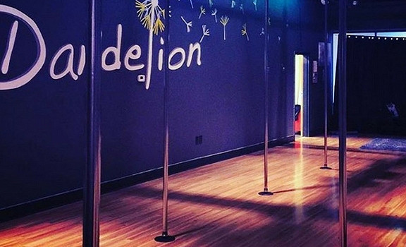 Dandelion fitness